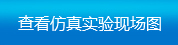 查看仿真實(shí)驗(yàn)現(xiàn)場(chǎng)圖